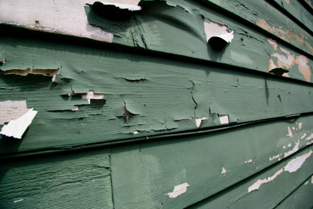 Best Shed Removal  in Los Gatos, CA