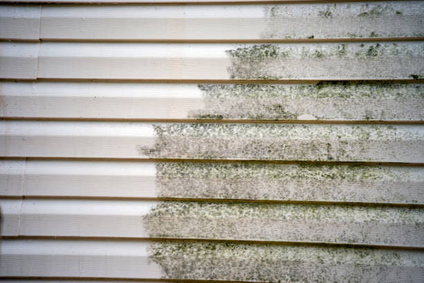 Best Construction Debris Removal  in Los Gatos, CA